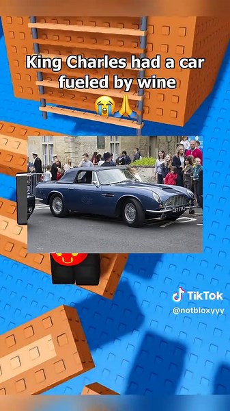 Crazy Facts You Need to Know 😭🙏🏻 _roblox _rblx _trending | Roblox