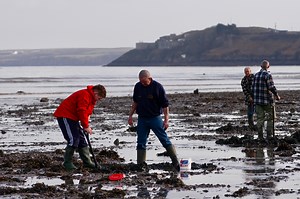 11 tips for digging king ragworms