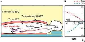 Why Temperature Matters for Sleep Quality