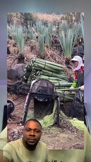 1.5M views · 7.1K reactions | Processing of pop fillers #viralreelschallenge #trendingreels #reelsfacebook #reelschallenge #goviral | Jacksoncomedy fans | Facebook