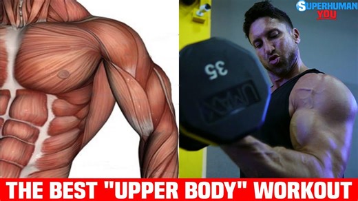 The Best Full Upper Body Workout for Building Maximum Muscle Mass
