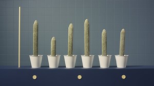 1K views | You don't have to change your values to buy into the stock...