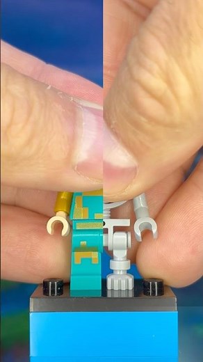 LEGO Minecraft: Royal Hero vs. Stray!