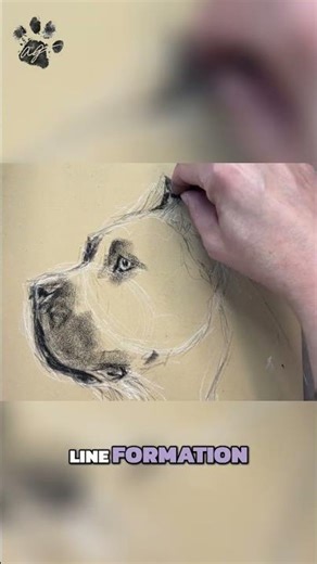 Drawing Ears & Drapery: Tips for Artists! #shorts