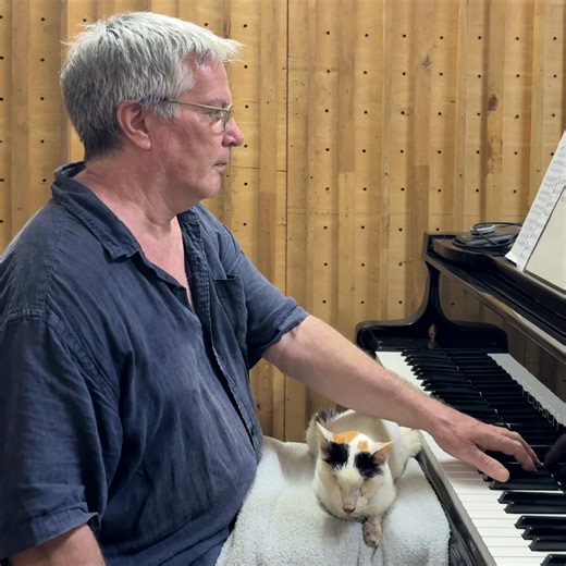 Debussy "Clair de Lune" for Drome (blind cat) We adopted Drome six weeks ago. Drome lived in Phuket, Thailand, and was shot in her eyes with a bullet. She was taken to the Soi Dog animal shelter where she underwent surgery, and the vets unfortunately had to remove her eyes. We met Drome last January, and our daughter Emilie fell in love with her, so we applied to adopt her. At that time Drome still needed to undergo other operations, but she was finally cleared to make the 1000km journey to her 