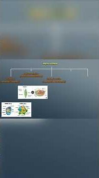 The 5 Kingdom Classification Explained | NEET & JEE Biology Prep