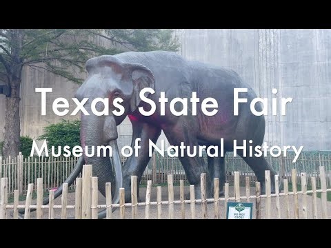 Dallas Museum of Natural History at Fair Park!!!