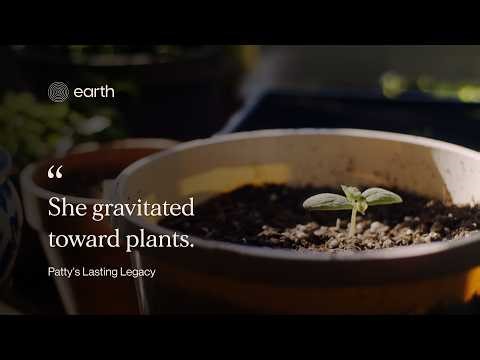 She Chose Human Composting Instead of Cremation