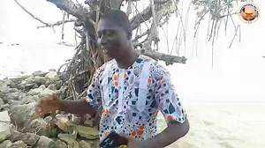 3.5K views · 37 reactions | Art et Culture : Le Perroquet du Sanwi dans les sillons de la musique Agni. | Peuple Agni TV | Facebook