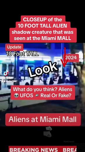 10ft Tall Alien Shadow Creature at Miami Mall - Alien or Man on Stilts?