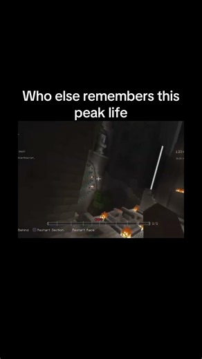 Minecraft mini games were so peak #viral