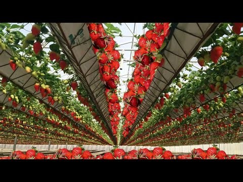 The Future of Agriculture Technology in 2023 - Beyond Expectations !!!