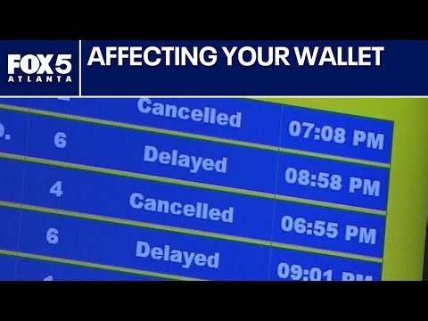 Change in flight cancellation reimbursement and killer bees return: Consumer headlines | FOX 5 News