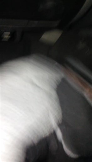 im trying to do the Renagayd