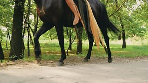 Sexy Fantasy Woman Sits On Horseback Stock Footage Video (100% Royalty-free) 3430732727 | Shutterstock