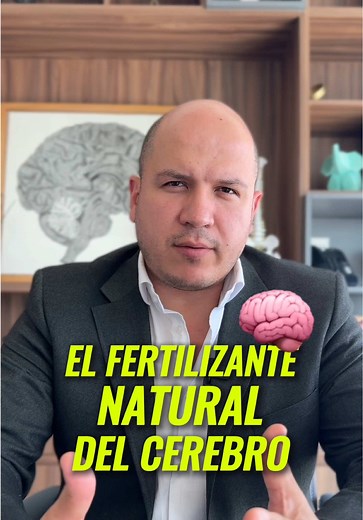 BDNF: La Clave para Mejorar tu Memoria y Salud Cerebral