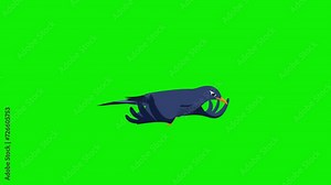 2d bird flying frame by frame animation 4k screen green