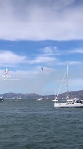 5.8K views · 213 reactions | VIP seats in the Flight Deck Club, overlooking the water with the Blue Angels overhead. #Paradise  Great tickets are available for Saturday and Sunday at FleetWeekSF.org The Air Show is Presented by United | San Francisco Fleet Week | Facebook