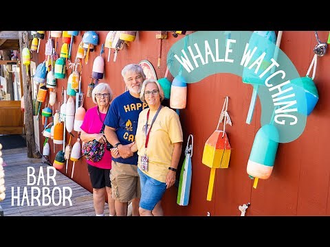 Bar Harbor Whale Tour