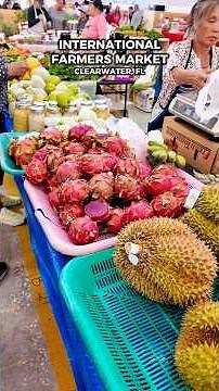 Brand new International Farmers Market now open | International Farmers Market • Clearwater, FL