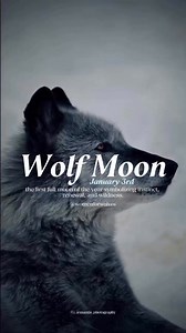 🌕 The Wolf Moon (January 3, 2026) is the first full moon of the year, rising in the heart of winter. Its name comes from seasonal naming traditions, inspired by deep-winter observations when wolves are especially vocal—howling to locate one another, strengthen pack bonds, and communicate across long distances in the cold. Despite the myth, the Wolf Moon was never about fear. It was about connection. The Wolf Moon signifies instinct, survival, renewal, and wild truth. It reminds us to trust inne