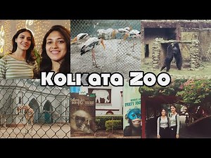 The Alipore Zoological Garden, Kolkata Vlog 🐯🦒🦩🦓