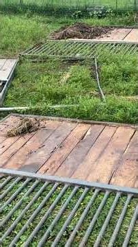 Building a barn on a budget farming