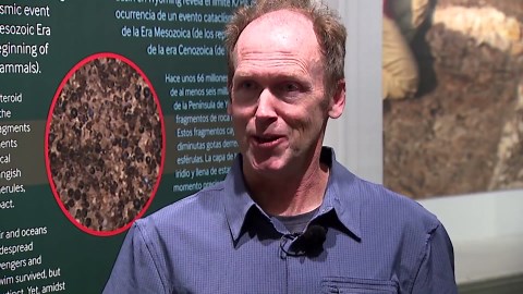 Denver Museum of Nature & Science now showing off dinosaur find from its parking lot