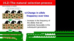 Diversity & Evolution 2 (31 March)