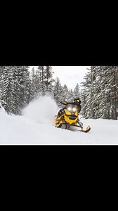 Some glimpses of the upcoming 2025 season | Northwoods Snowmobiling LLC