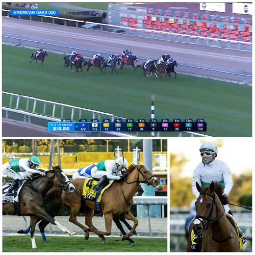 La tresañera 𝗔𝗠𝗕𝗔𝗬𝗔, montada por Kazushi Kimura, logró la segunda victoria de su historial y su primera en un evento importante al dominar el American Oaks, con premio de $300 mil, este domingo en Santa Anita Park. Esta hija de Ghostzapper es propiedad del Augustin Stables y entrenada por Jonathan Thomas. 🎞: FanDuel Racing. 📸: Benoit Photo. | Estudio Hípico Con Joe Bruno