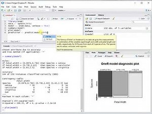 Quick Start Guide for the OneR package