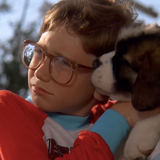 Dad, your powers are useless against a puppy and the kids 🎥: BEETHOVEN | Netflix Family