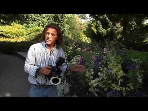 Close-up Photography with Ring Flash