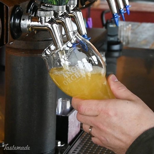 791K views · 455 reactions | If you're anything like us, every season is cider season! Discover the roots of cider making in America at Angry Orchard. | Tastemade Travel | Facebook