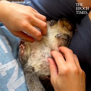 She’s chubby, she’s weird, and she’s adorable in every single way. Credit: @Little Thumbelina Girl - https://www.facebook.com/littlethumbelinagirl | Bright