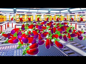 The REAL reason I've been terraforming Mars...