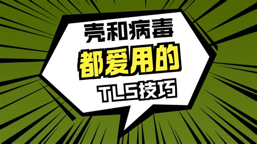 【PE结构】TLS初始化、TLS回调函数解析精讲【游戏安全，软件安全，网络安全，CTF，RE，病毒木马免杀必备基础】软件破解反汇编逆向安全工程师2025-小迪xiaodi老师逆向安全-小迪xiaodi老师逆向安全-哔哩哔哩视频