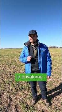 Agronomų rekomendacijos – Kinto® Plus ir Systiva®