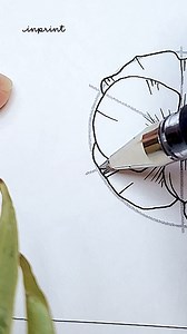 Poppy drawing 💐✨🥰 I'm in the process of making new flower drawing tutorials and need some suggestions, just put your favorite flower in the comments and I will add it to my list 🥳 The drawing guide is linked in my bio along with printables and all the stationary I use! Have fun drawing and see you tomorrow with more floral art ✌️ | Aska Hall