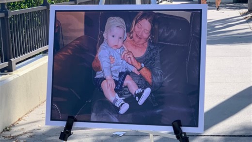 Family of woman who fell to her death from drawbridge files lawsuit