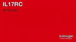 IL17RC antibodies from Thermo Fisher Scientific