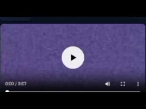 The Video Vocoder Is Owner Paradox