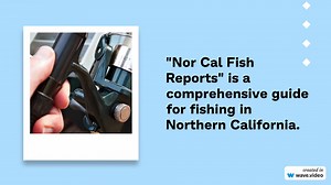 Nor Cal Fish Reports