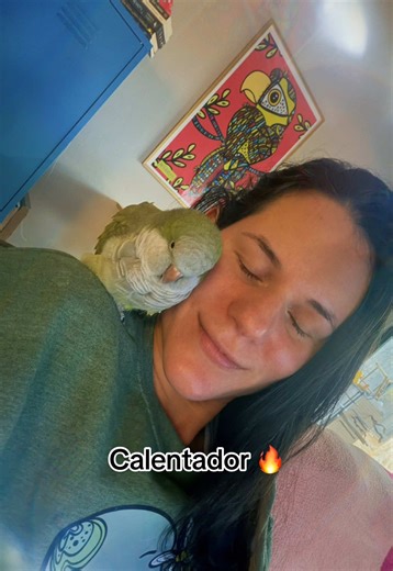 Replying to @𝓢𝓸𝓯𝔂 ♱ info del calentador detalles de Eclipse #paratiiiiiiiiiiiiiiiiiiiiiiiiiiiiiii #cotorra #cotorraargentina