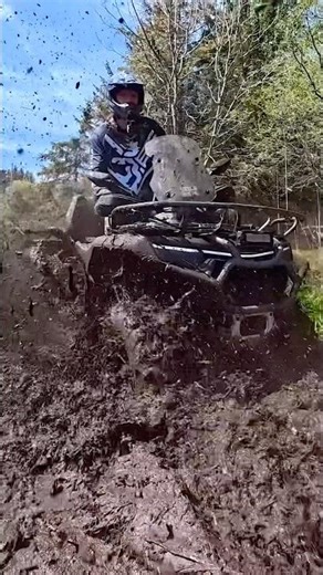 Sloppy! Do like playing in the mud?