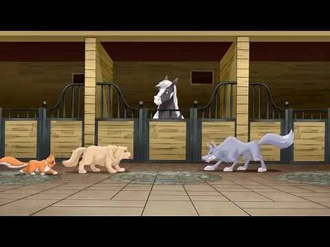 Dreams Come True ~ A Mule Mom's Story