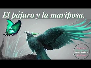 ¿Envidia o autenticidad? La lección más profunda que aprenderás hoy.