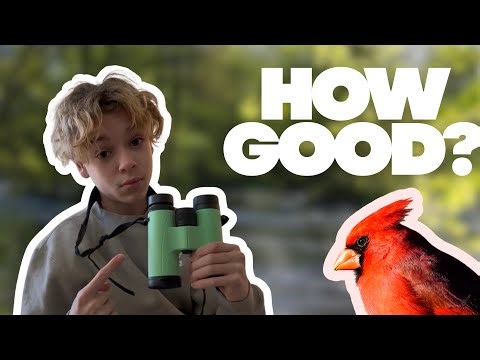 How good are the Barska Crush 10x42 Binoculars?