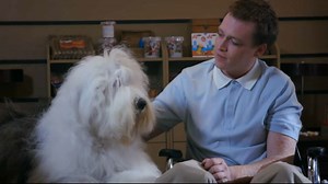 VIDÉO - Cinéma : avec "Dogman", Luc Besson porte à l'écran son amour des chiens